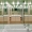 sandrine sarah faivre-architecture-interieure-living-2019-Boissonade-12
