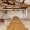 AL24_TOUR_EVEQUE_DSC5661_WEB copie