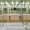 sandrine sarah faivre-architecture-interieure-living-2019-Boissonade-12